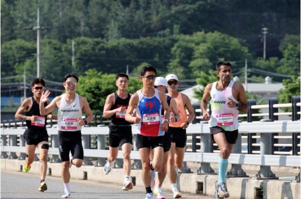 무주군서 '전국마라톤협회 무료 초청 훈련마라톤대회' 열린다! 기사 이미지