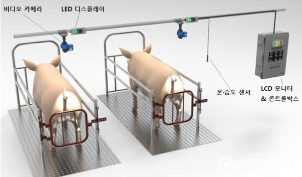 경남도, 양돈장에 인공지능(AI) 본격 도입! 기사 이미지